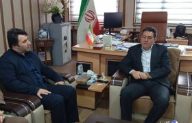 قلندری: بازآموزی مهارت برای نانوایان اردبیل ضروری است