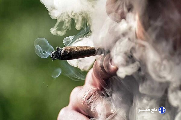 نخستین نشانههای مصرف گل
