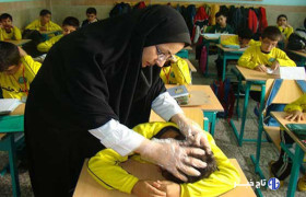 نفوذ مهمانی ناخوانده به مدارس؛انجام آموزش‌های فصلی برای پیشگیری از شپش