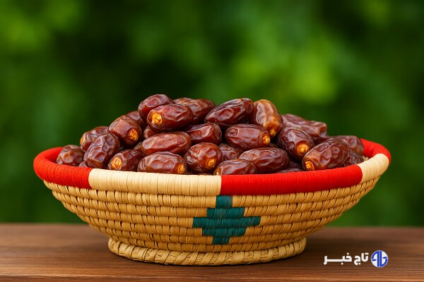 نماینده دشتستان: دولت از مداخله مستقیم در بازار خرما پرهیز کند