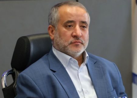 هاشمی: ۲۴۸ شرکت فناور در خراسان جنوبی فعالیت دارند