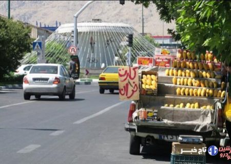 ۶۵۷ هزار وانت بار فروش میوه اعمال قانون شدند