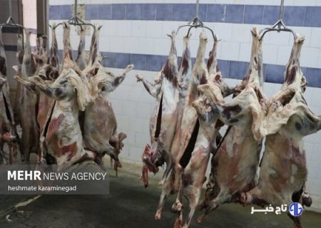 باند توزیع گوشت‌های آلوده در اصفهان منهدم شد