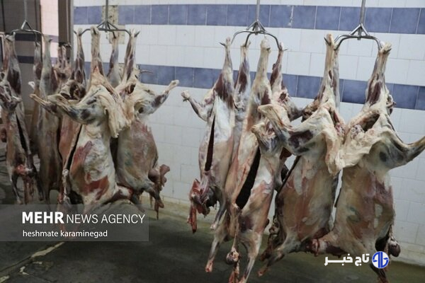 باند توزیع گوشت‌های آلوده در اصفهان منهدم شد