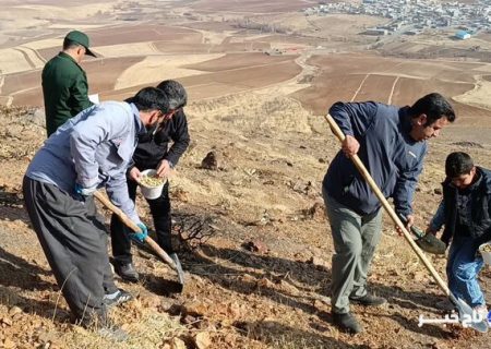 کپه‌کاری در مراتع دهگلان آغاز شد،اجرای طرح در سراسر کردستان
