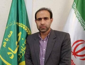 آغاز واریز مطالبات کلزاکاران از شنبه ۲ خرداد/ آمار خرید کلزا به ۱۵۰ تن رسید