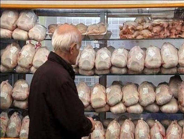 عرضه مرغ گرم با قیمت بیش از ۳۵۰ هزار تومان در لرستان تخلف است/ رئیس سازمان جهاد کشاورزی هشدار داد!