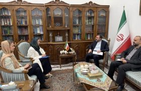دیدار هماهنگ‌کننده مقیم سازمان ملل متحد در تهران با غریب آبادی