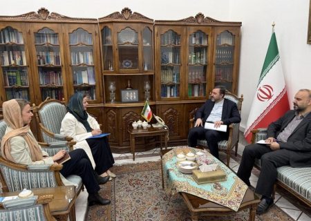 دیدار هماهنگ‌کننده مقیم سازمان ملل متحد در تهران با غریب آبادی